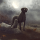 Illustration for article titled The Best Halloween Book You’ve Never Heard Of: Celebrating the 25th Anniversary of A Night in the Lonesome October
